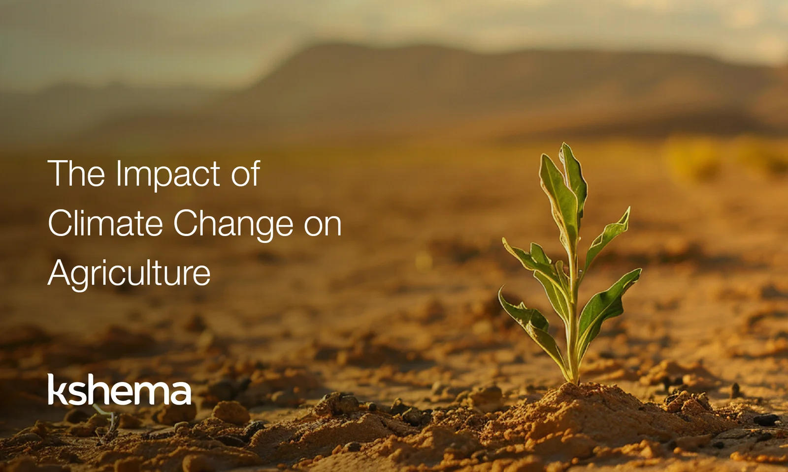 تطورات بيئية جديدة في الخليج وتأثيرها