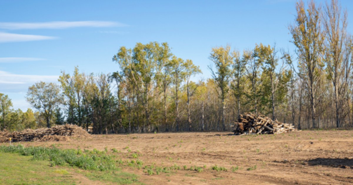Rückgewinnung von 188 Morgen Land in Ägypten