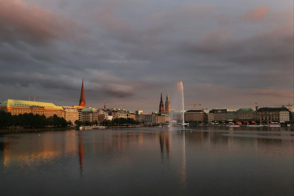 Wolf bites woman in Hamburg, Germany - Rare incident
