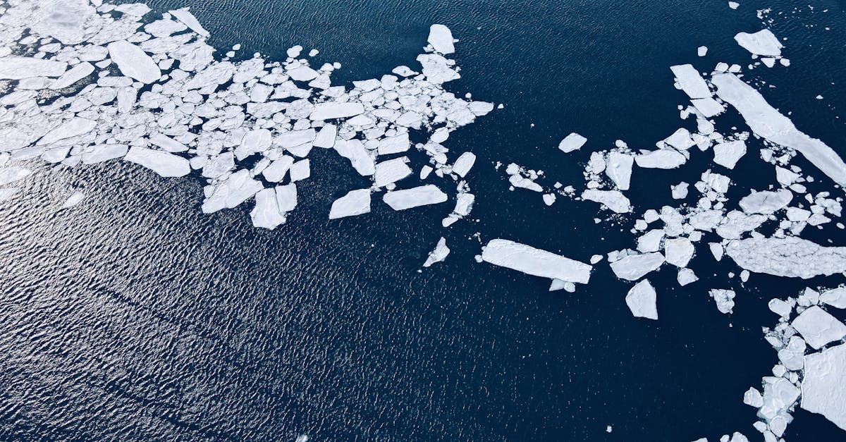 Global Temperature Rise and Its Impacts