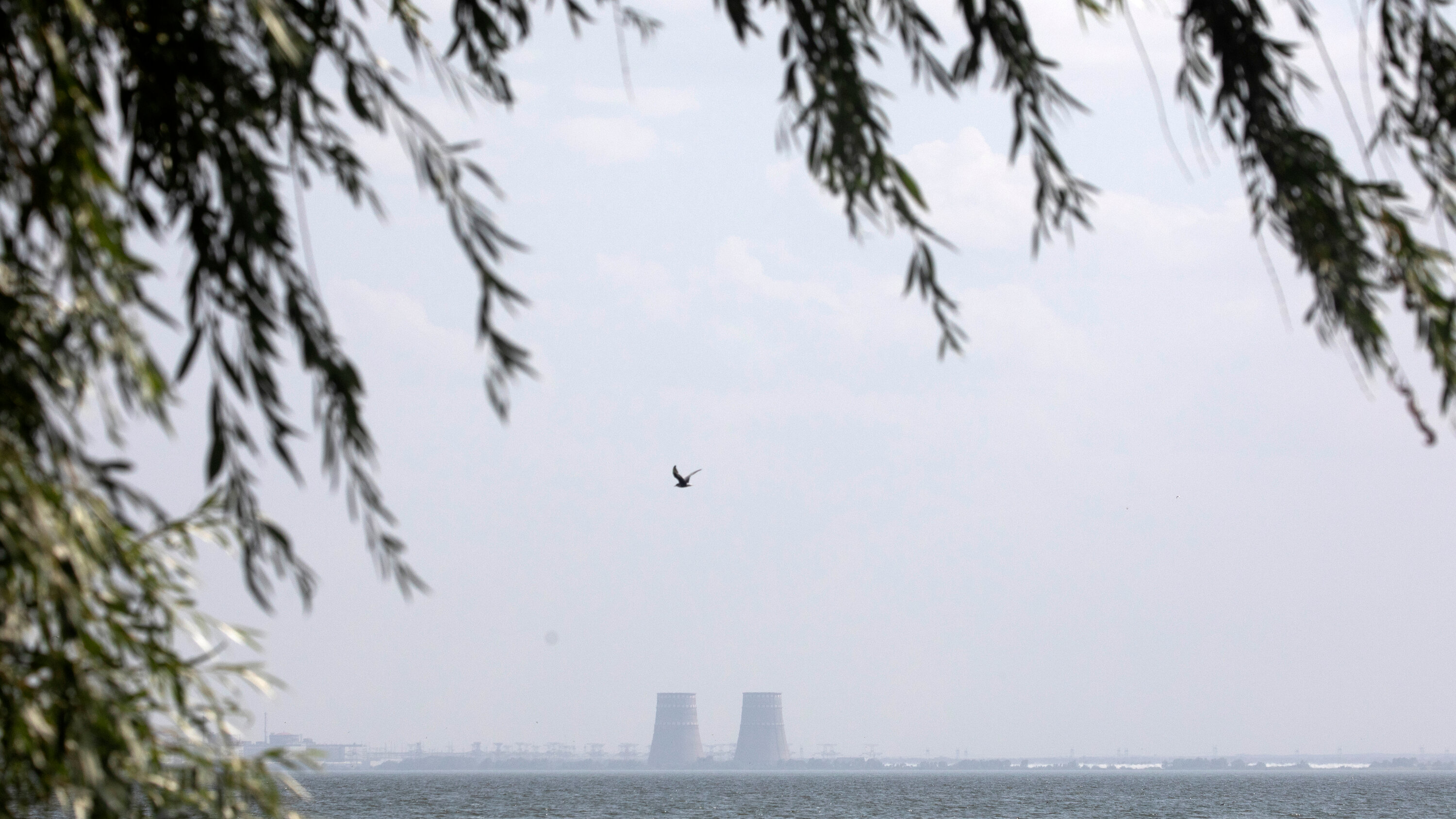 موسكو تتهم أوكرانيا بخلق تهديدات إشعاعية