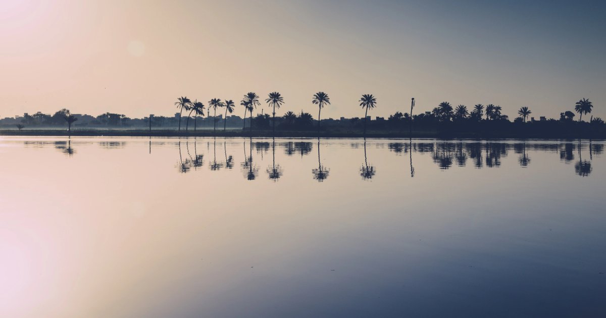First Daytime Wedding in Damietta After Restrictions