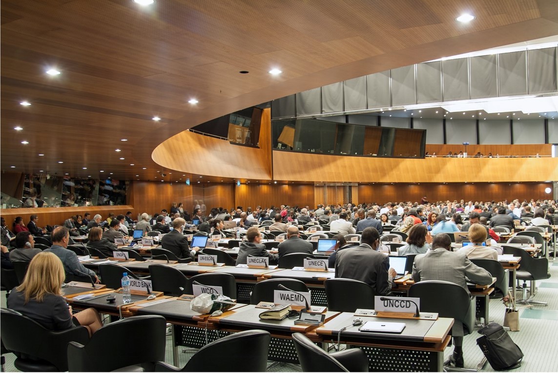 WTO Fails to Reach E-Commerce Agreement in Cameroon