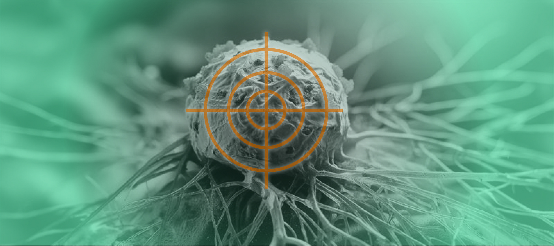 تقنيات جديدة لرصد الأورام السرطانية