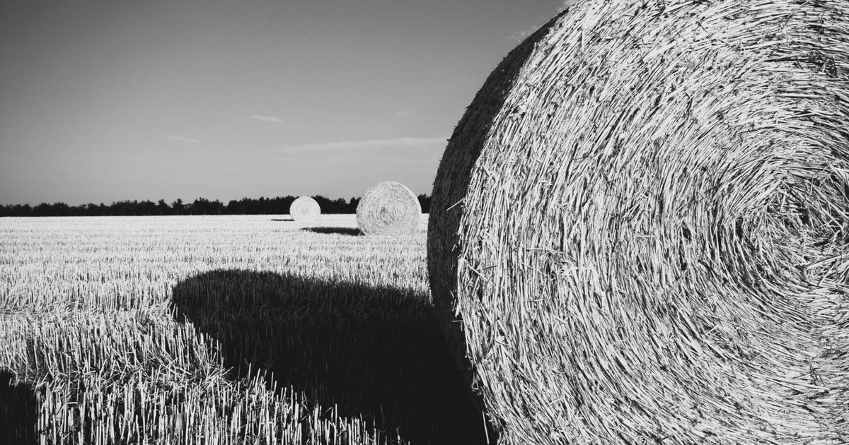 Indonesia faces El Niño with agricultural insurance