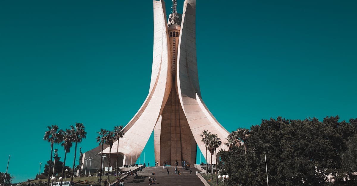 موقع مصري يوثق أسماء شهداء غزة