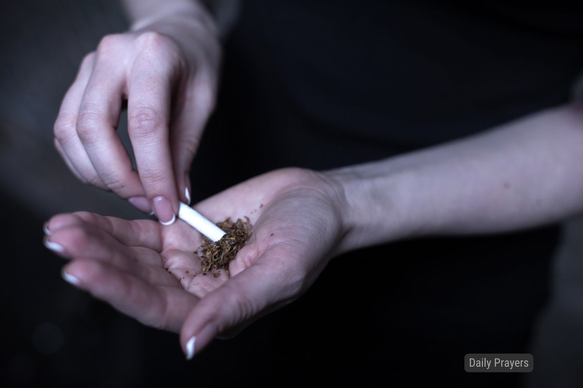 Interception d'infractions routières et de drogues en Égypte