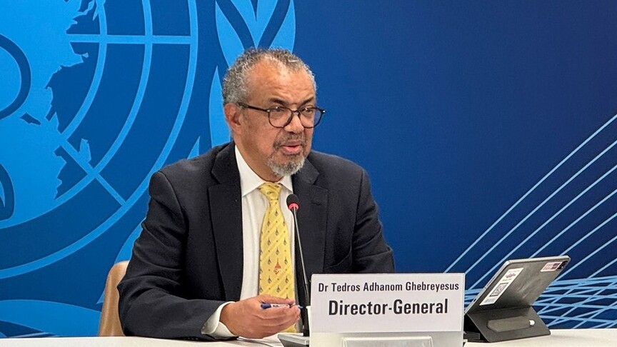 Ebola-Ausbruch im Kongo: Sofortiger Waffenstillstand gefordert