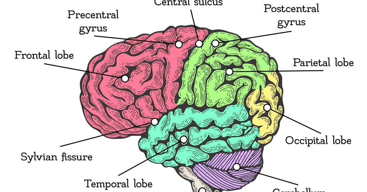 Brain-Computer Interface Technology in Stroke Rehabilitation