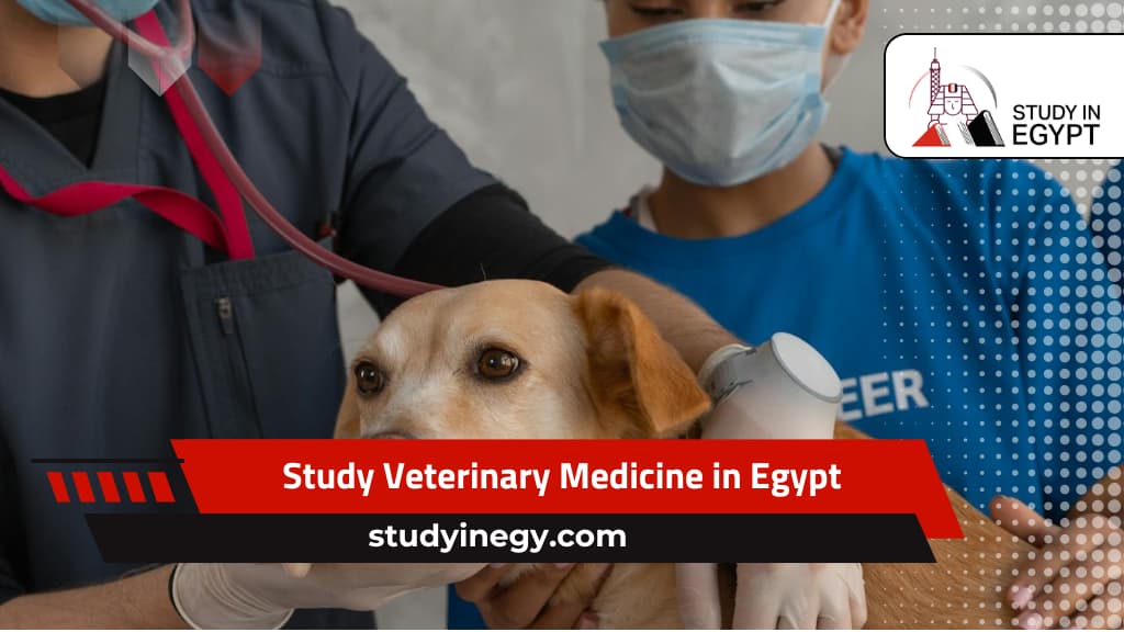 Exemption des cliniques vétérinaires de l'interdiction de travail