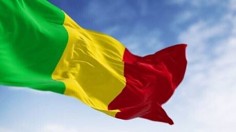 نجاة وزير دفاع مالي من هجوم مفخخ