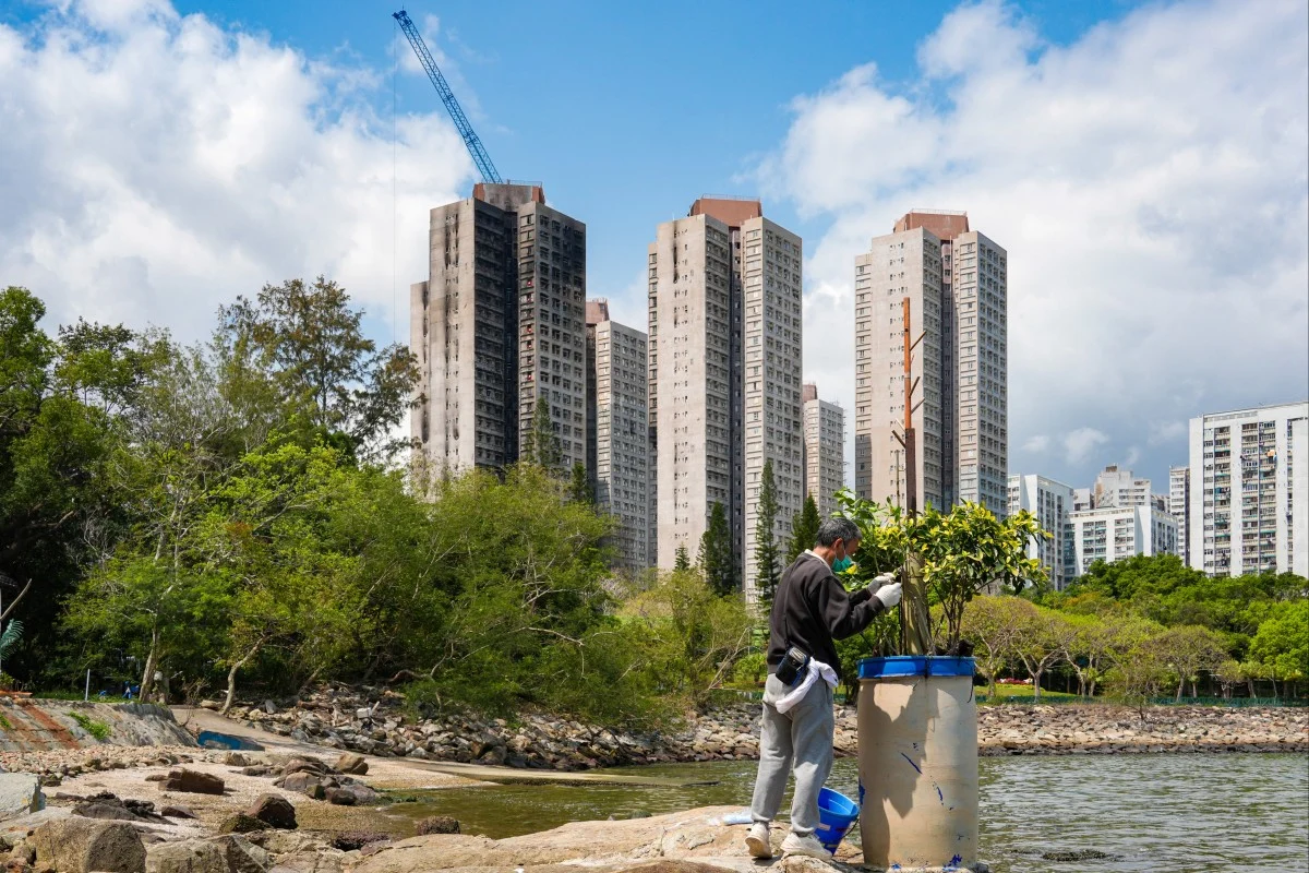 Investigation into Deadly Tai Po Fire in Hong Kong