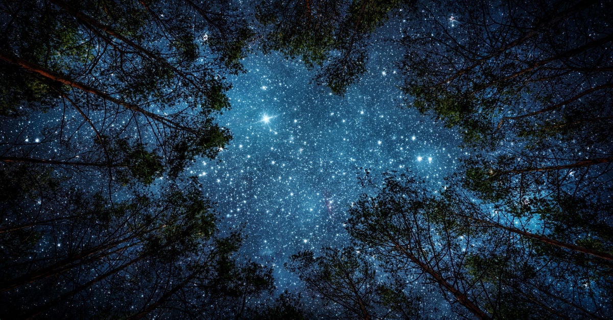 أركسادا تتلقى دعمًا لتأجيل سداد الديون amid تحديات السوق