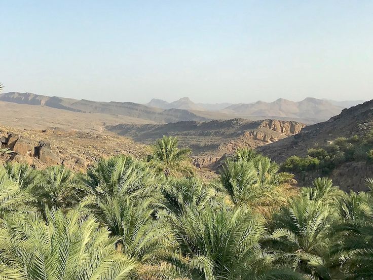 انتقالات اجتماعية في الدول الحديثة: تجربة سورية