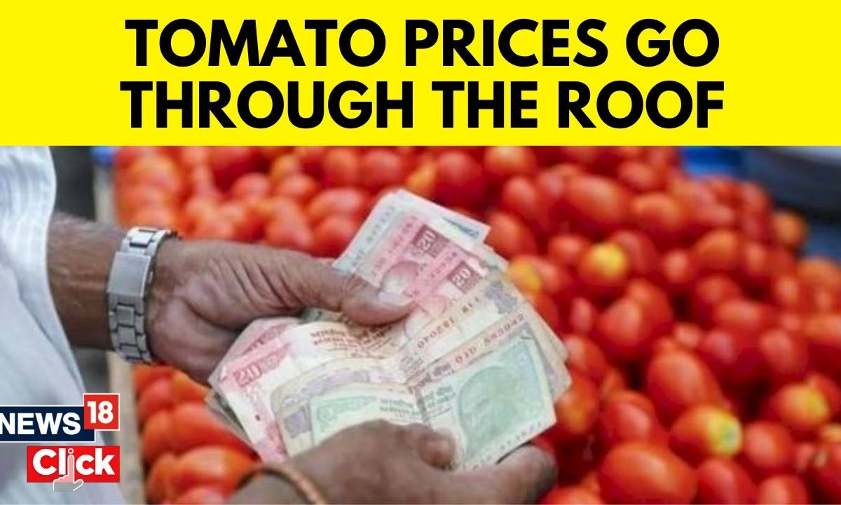 Mısır'da domates fiyat artışı: nedenler ve etkiler