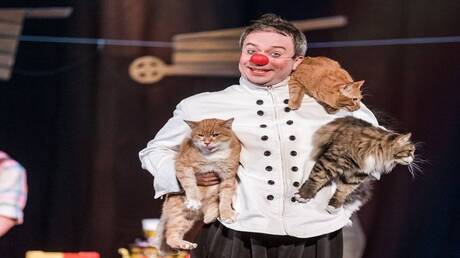 مسرح القطط في لوغانسك يحتفل بالحيوانات الناجية من الحرب