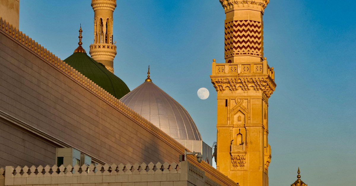 تعزيز تربية النحل وإنتاج العسل في عسير