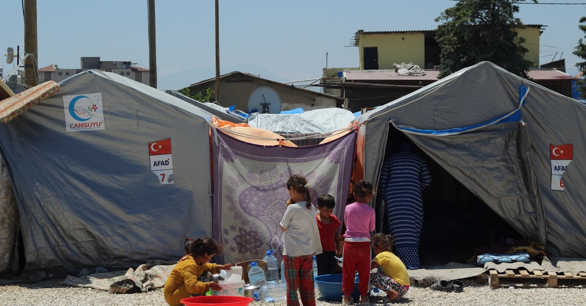 تحرك الدفعة الـ184 من المساعدات الإنسانية إلى غزة