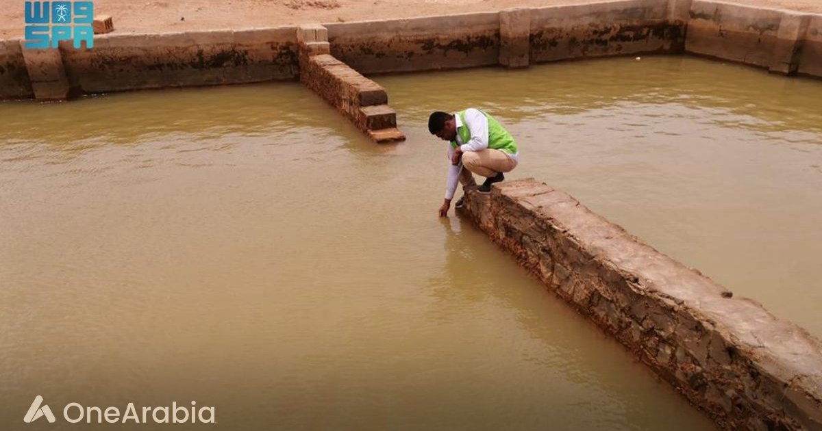 المملكة تعلن إعادة تأهيل مليون هكتار من الأراضي الزراعية