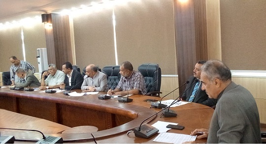 Aswan Executive Council Meeting: Enhancing Local Development