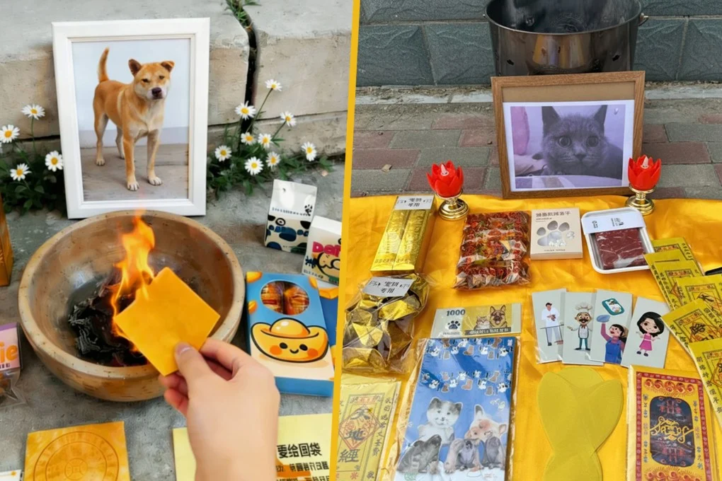 Funérailles de compagnons animaux de luxe en Chine