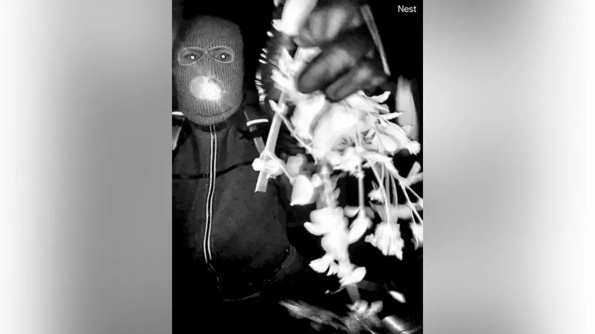 اختفاء نانسي غوثري: تفاصيل التحقيقات والأحداث