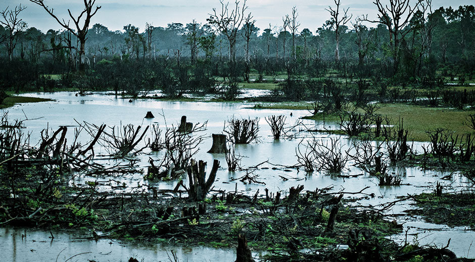 مواقع التلوث في أمريكا تواجه مخاطر الفيضانات والحرائق