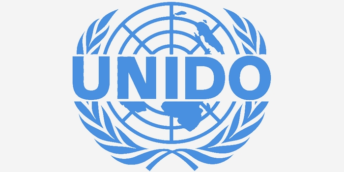 Preise für Tomaten in Ägypten: Ministerpräsident kündigt Rückgang an