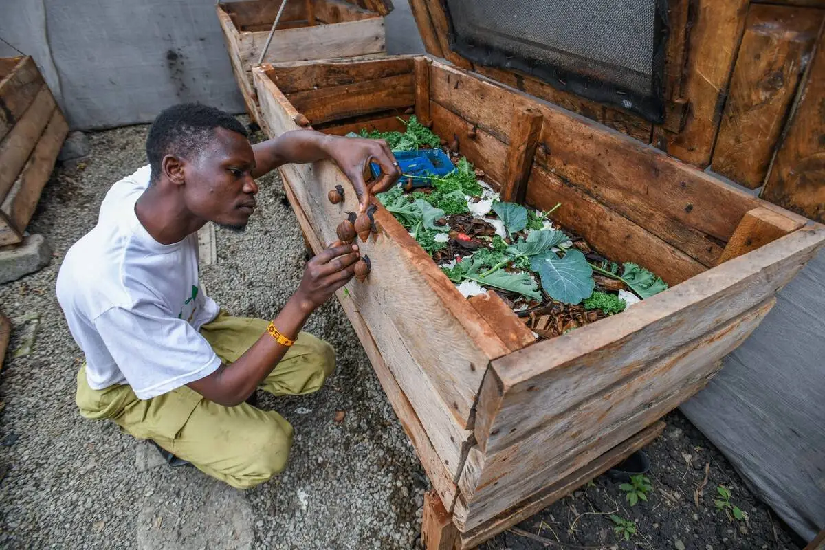 تونس: مزارع الحلزون كفرصة اقتصادية جديدة