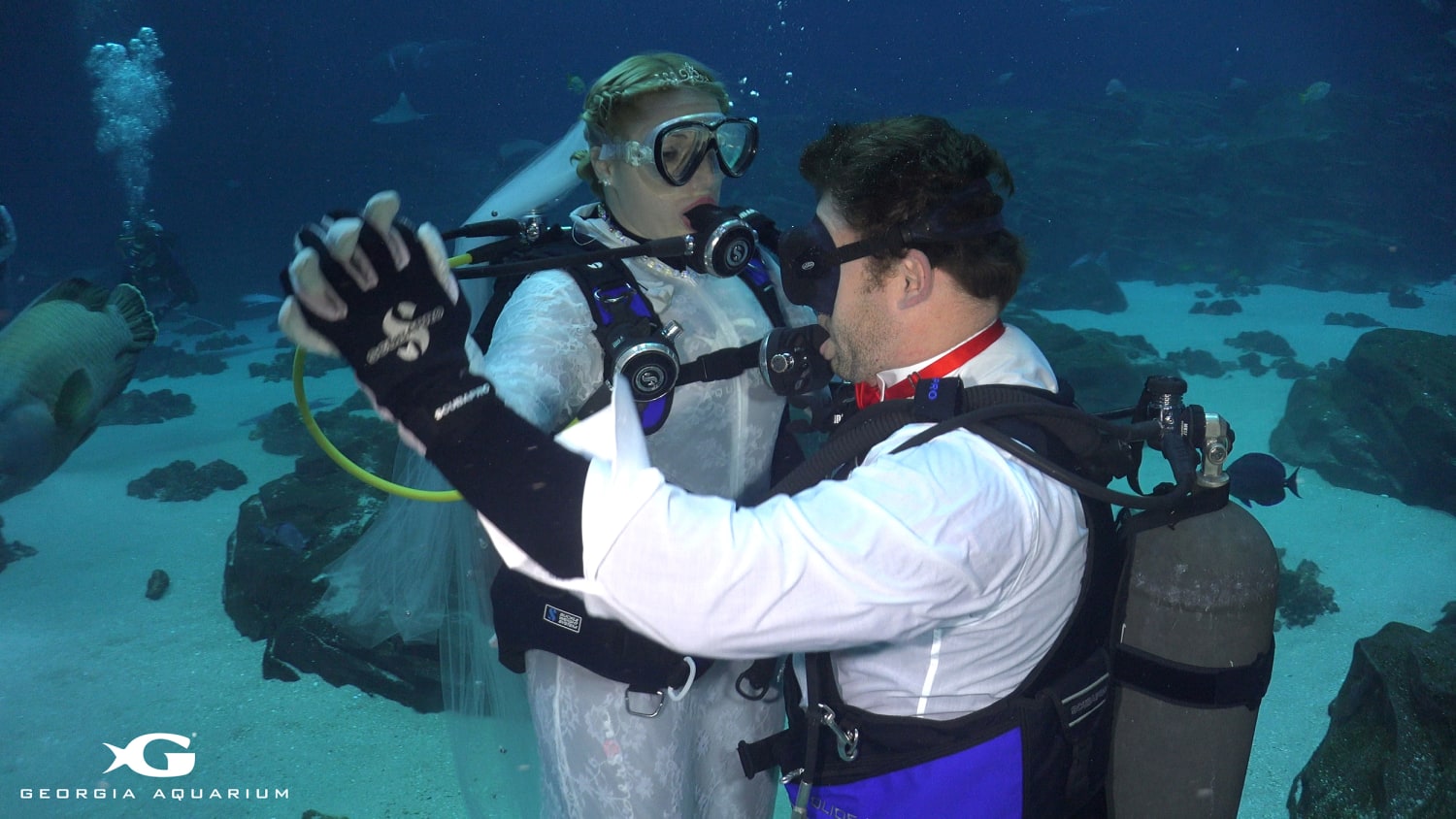 New Employees Dive Underwater for Appointments at Aquarium