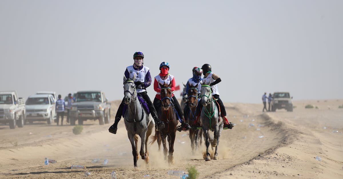 Course d'essai finale des chevaux arabes à Maysan