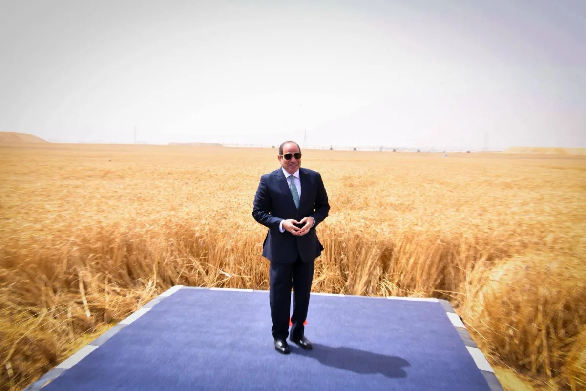 Egypt Aims for Global Grain Storage Hub