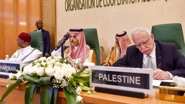Saudi and Egyptian Foreign Ministers Discuss Gaza Situation