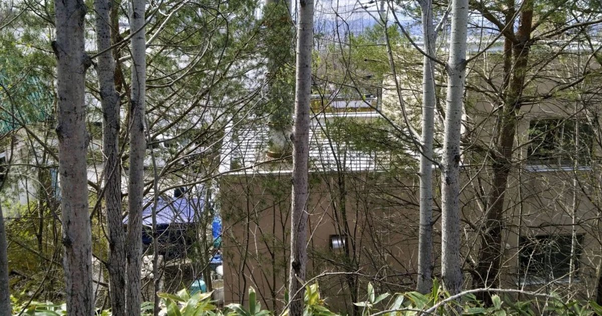 تأجيل إعادة افتتاح حديقة حيوانات يابانية بسبب اعتراف صادم