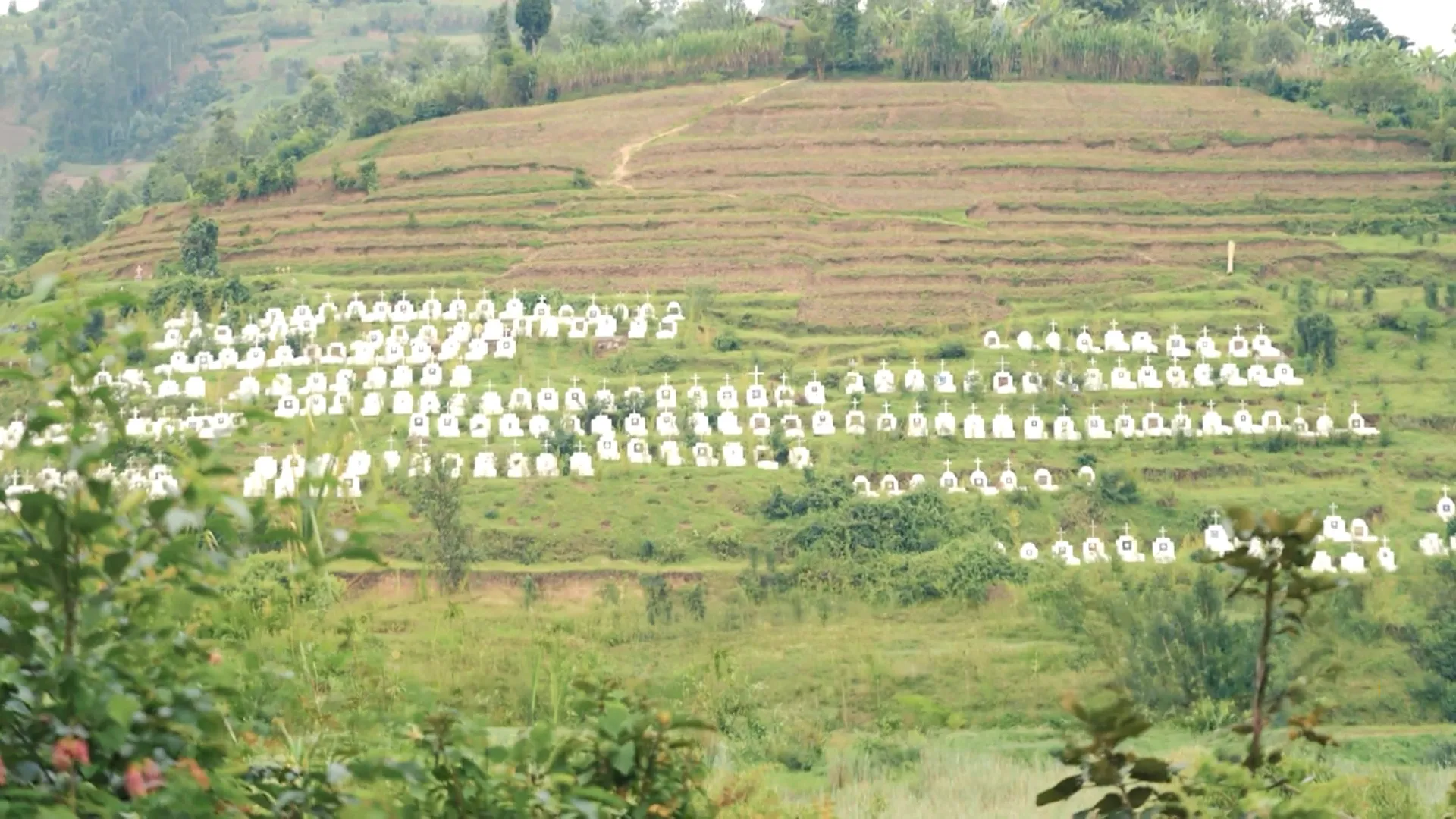 Rwanda: A Model for Economic Revival in Africa