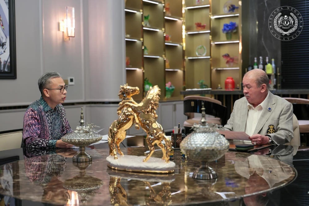 محكمة فدرالية تحدد مصير غابة شاه علم