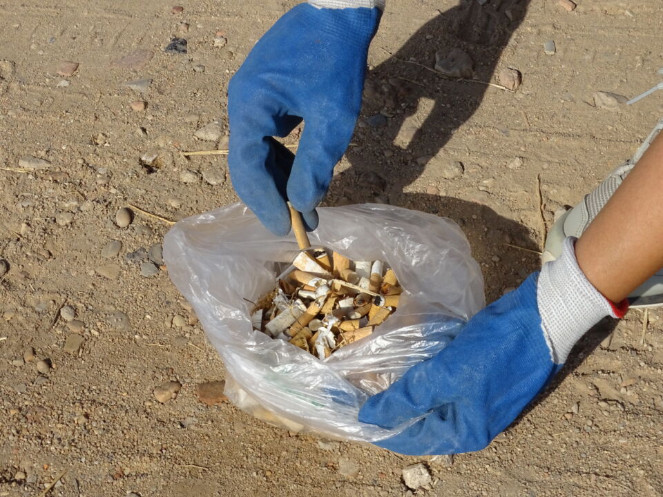 حملات نظافة في غابات جرش لتحسين البيئة