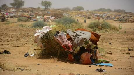 أزمة الجوع في السودان: 19.5 مليون يواجهون خطر المجاعة
