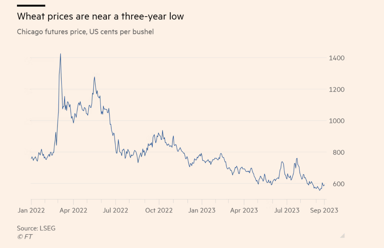 ارتفاع أسعار القمح الروسي وتأثيره على الأسواق العالمية
