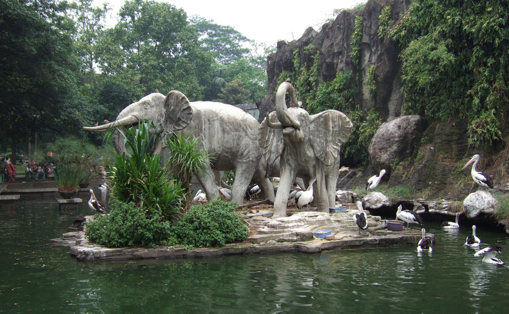 Erweiterung der Öffnungszeiten des Ragunan Zoos für Jogger