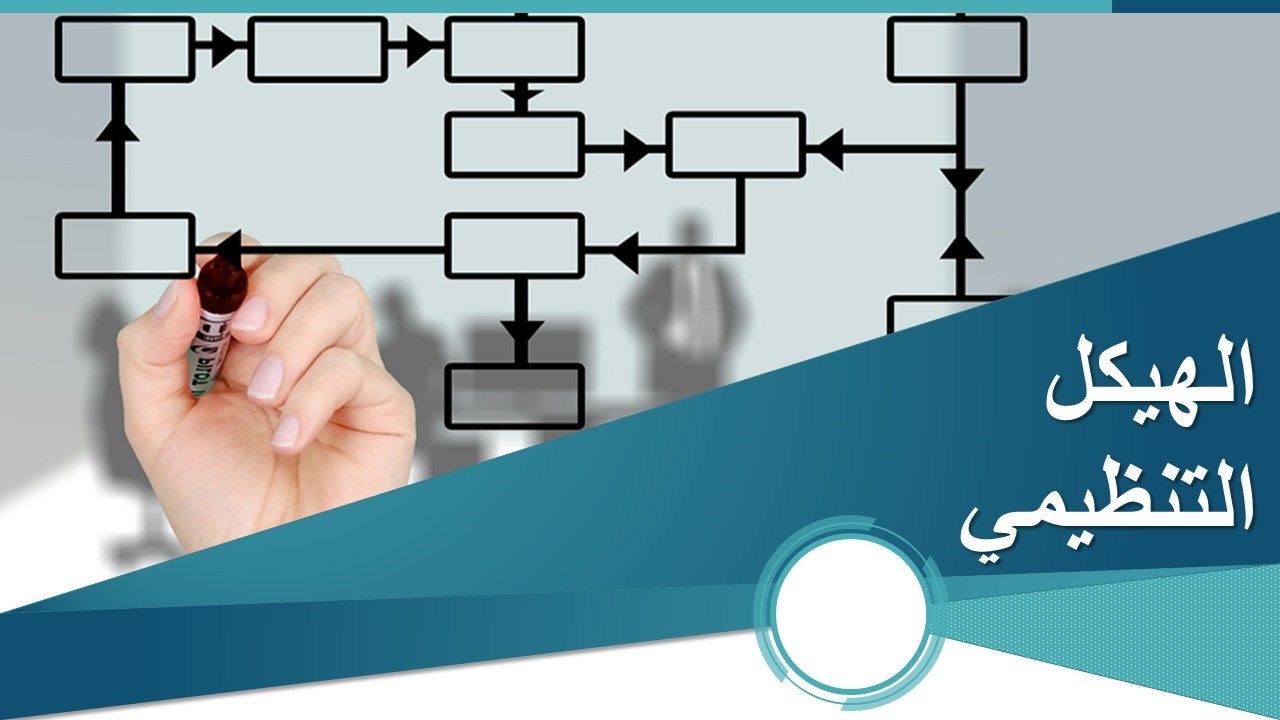 Formation of Executive Team for Borealis International Group