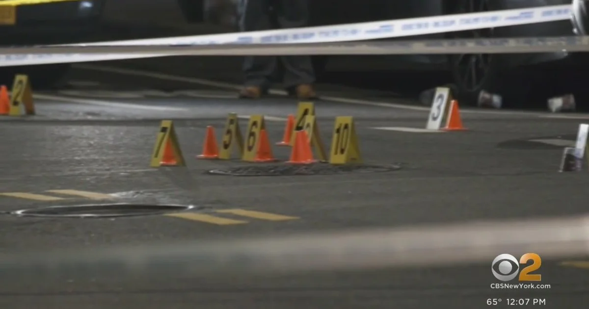 إلقاء القبض على مسلح قرب طوق أمني في نيويورك