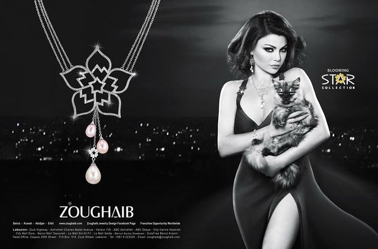 Al-Shami Postpones Concert with Haifa Wehbe for Audience Respect