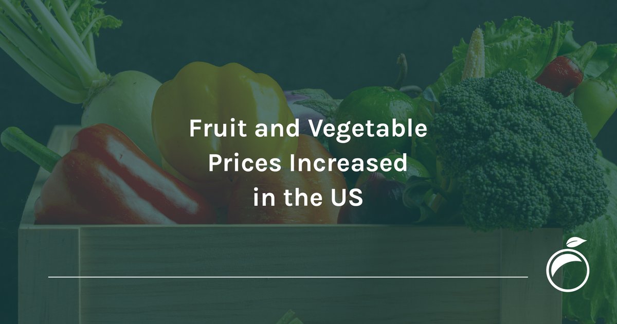 ارتفاع أسعار الخضار والفواكه في الأسواق المحلية