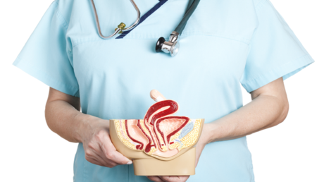 دراسة تكشف تفاصيل جديدة عن البظر ودوره في المتعة الجنسية