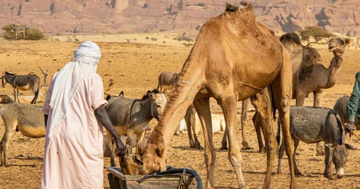 Chad: Matan 42 personas en conflicto por agua