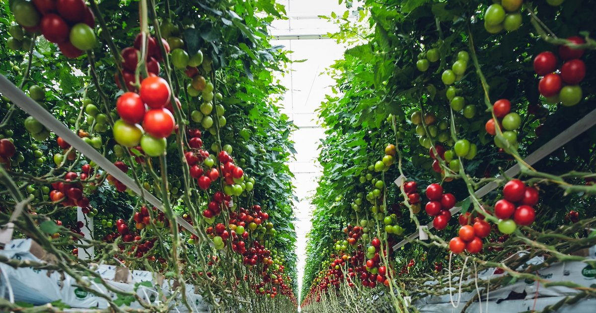 Reassess Misleading Nutritional Information Globally