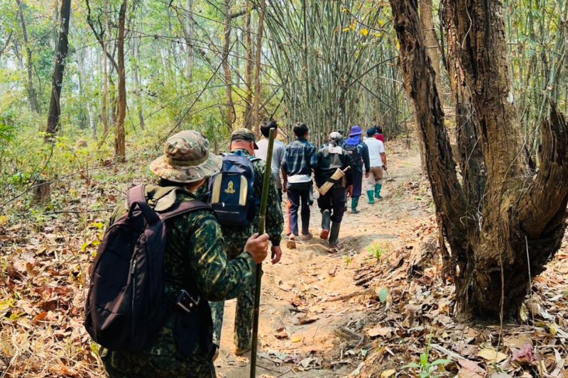 Volunteer dies in Thailand wildfires - Chiang Mai news