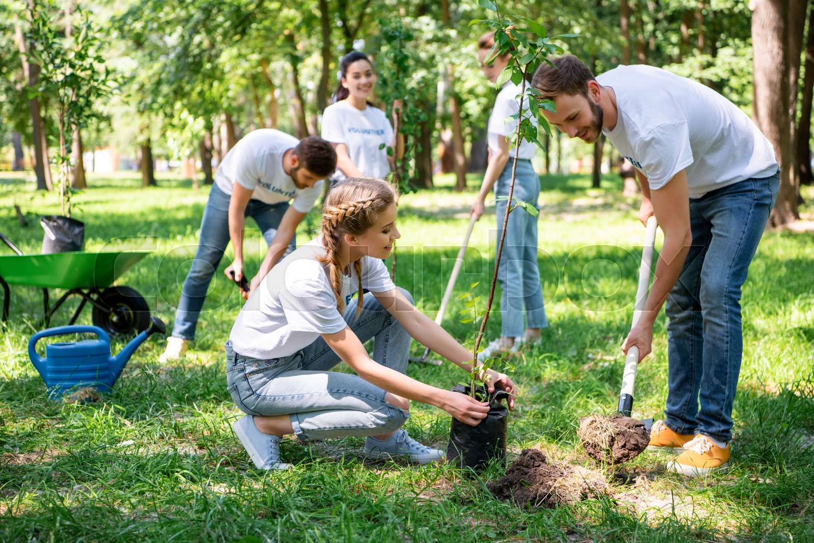 جهود المتطوعين في نيو بورت لتوسيع الأشجار الصحية