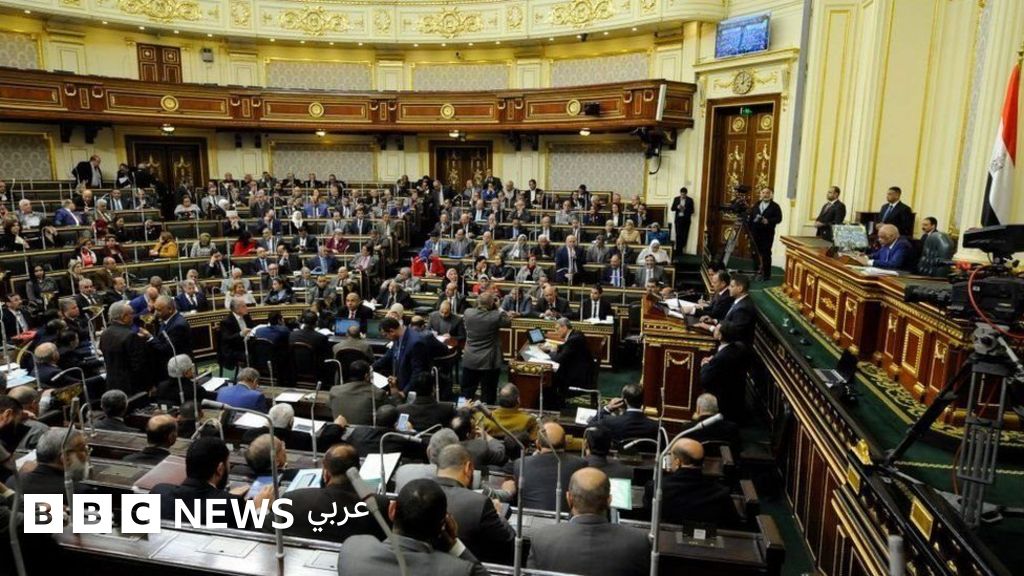 New Law Transfers Al-Azhar Library to Presidency